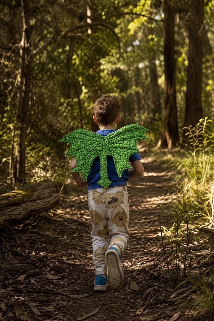 A child wearing green dragon wings, running along a sunlit woodland path